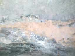 millstreet 12910.jpg